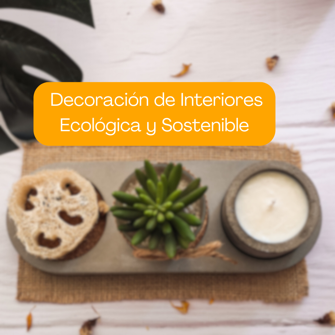 Decoración de Interiores Ecológica y Sostenible