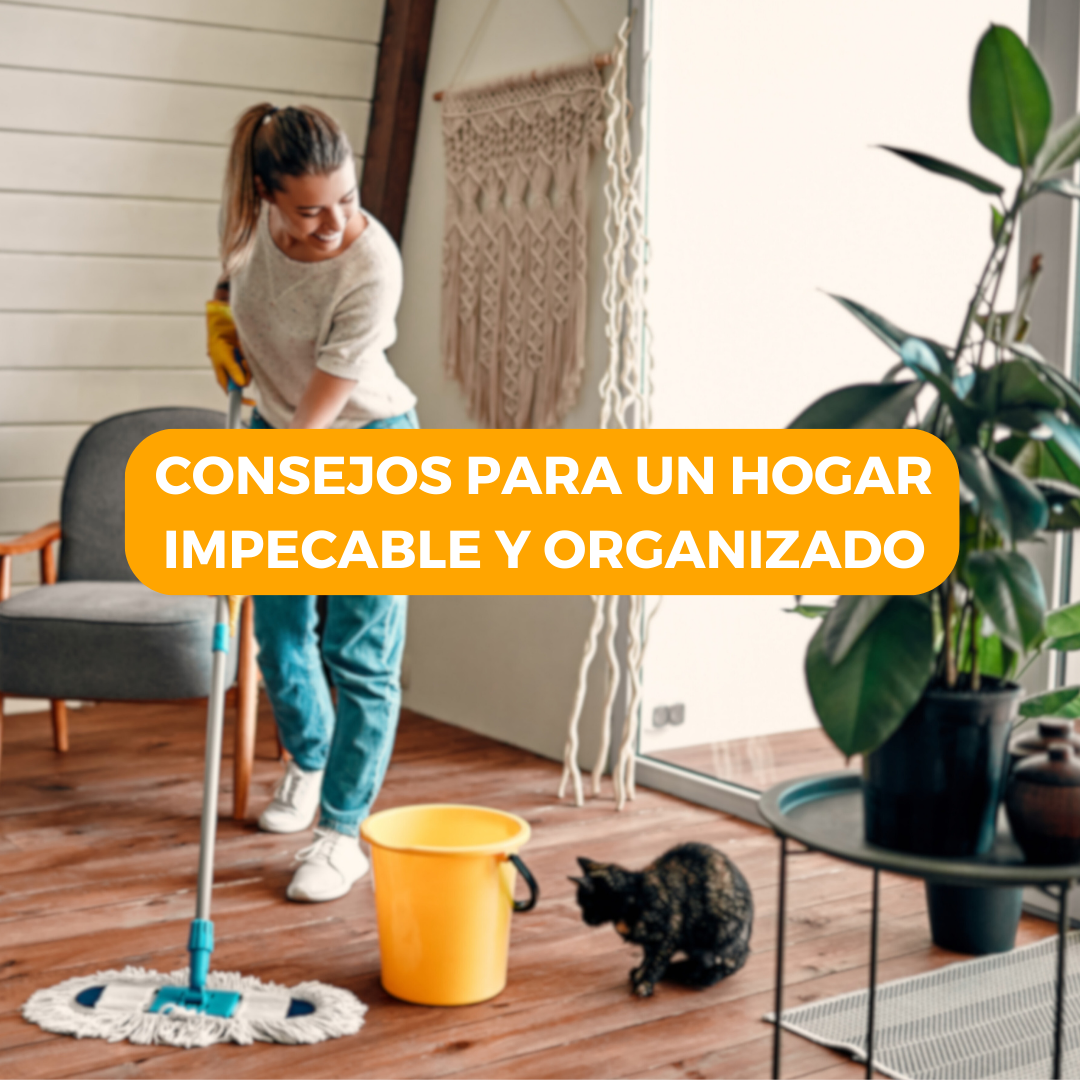 Consejos para un Hogar Impecable y Organizado