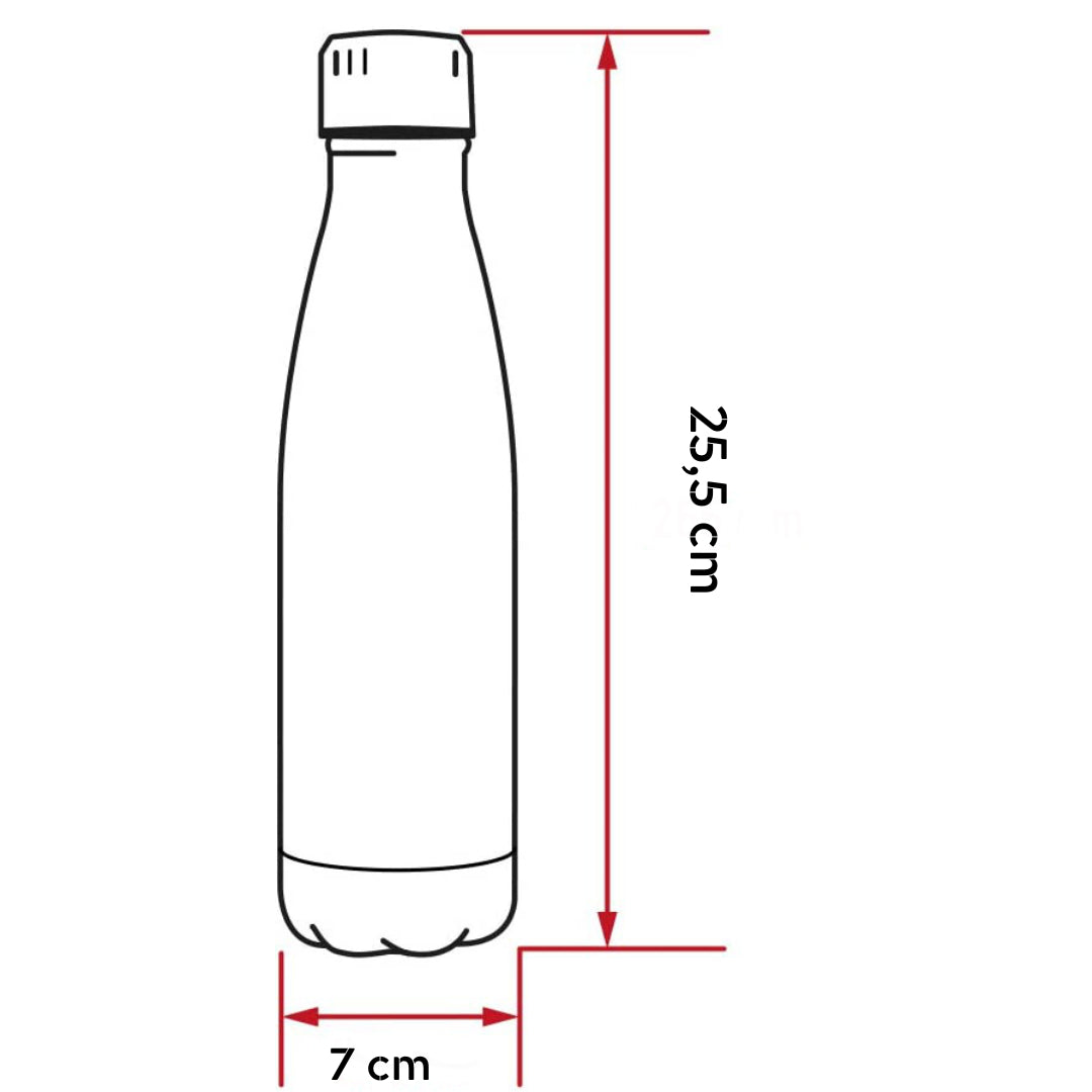 Botella Termica Doble Pared En Acero Inox 500 Ml - Amsterdam